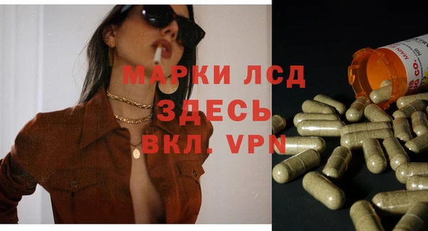 дмт Гусев