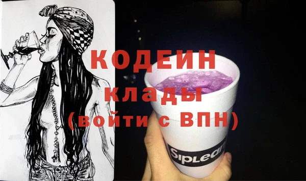 дмт Гусев