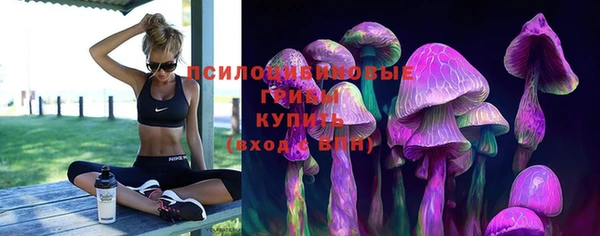 дмт Гусев