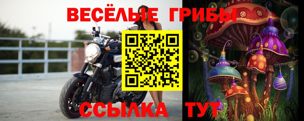 Галлюциногенные грибы MAGIC MUSHROOMS Обь